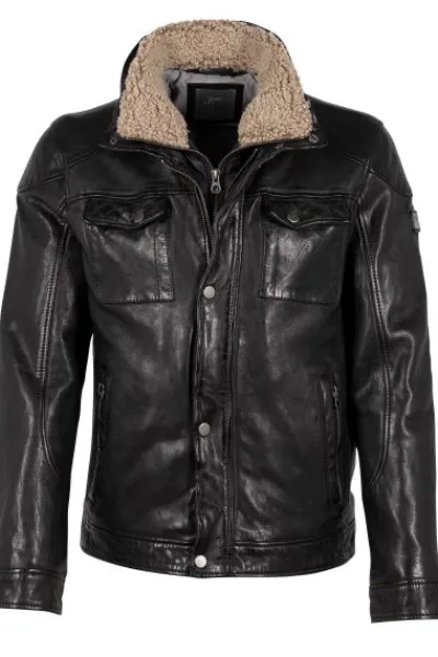 Talton*Gipsy Online